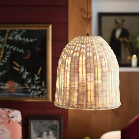 rattan pendant light by drew barrymore flower home for living room